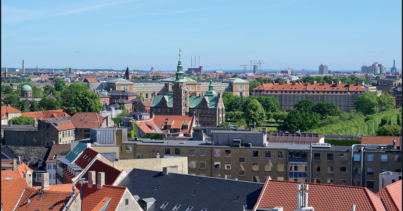 Rör den inte – "larven från helvetet" kan ge dig svår klåda och allergichock